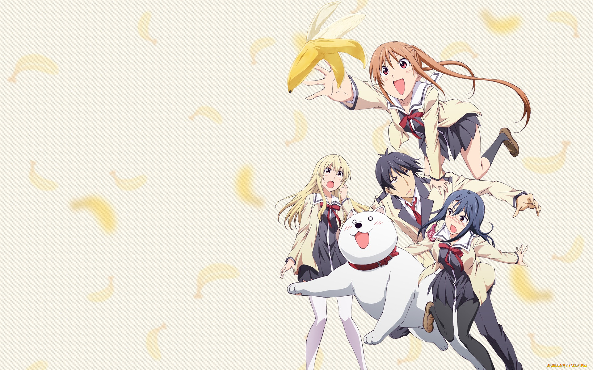 aho girl, , , , 